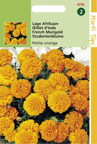 Hortitops Lage Afrikaan Petite Orange - Bloemzaden Hortitops Lage Afrikaan Petite Orange - Bloemzaden