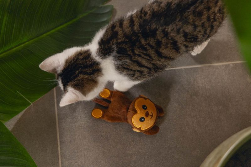 Beeztees Aap Jungle - Kattenspeeltje - Bruin