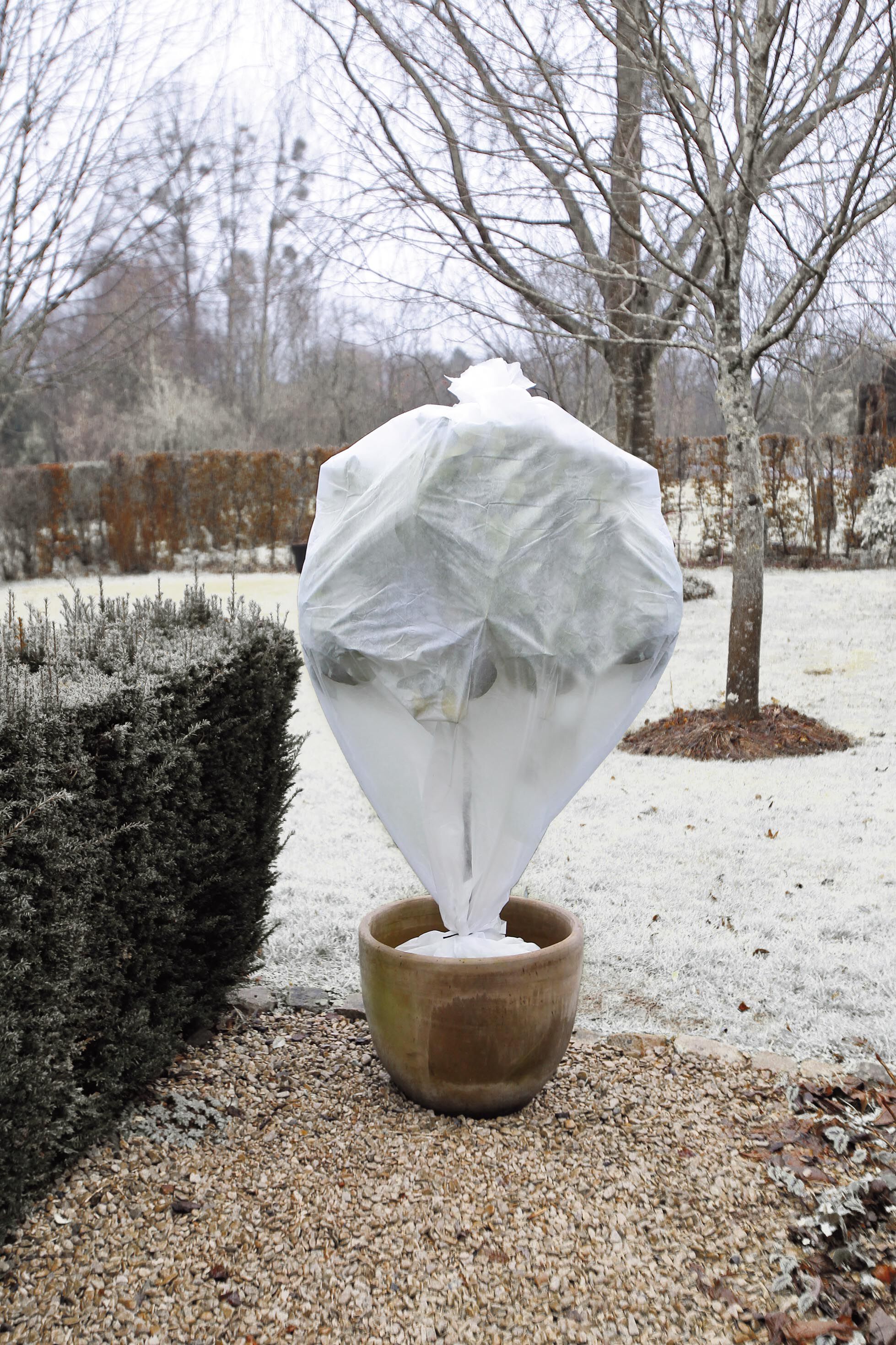 Nature Winterafdekhoes - Plantbescherming - 10x0,6m