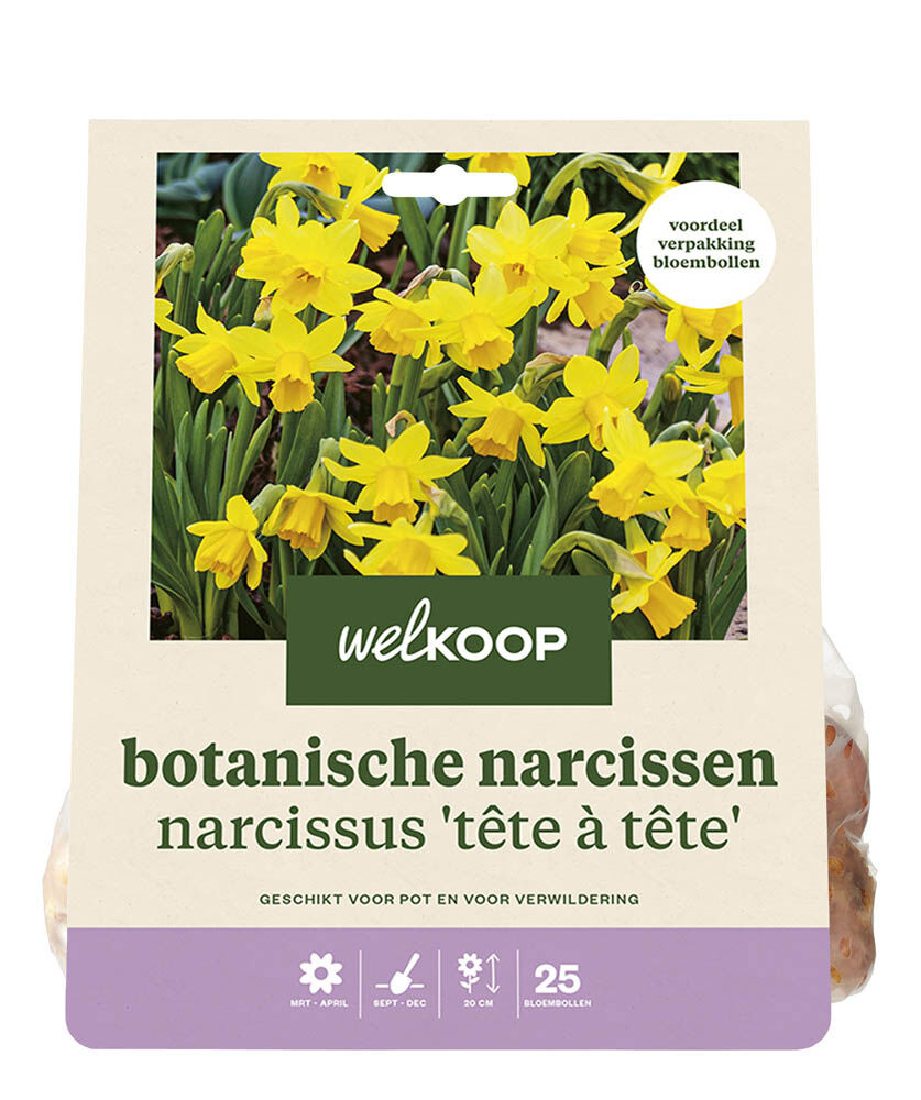 Welkoop Narcis Ollie - Bloembollen Welkoop Narcis Ollie - Bloembollen