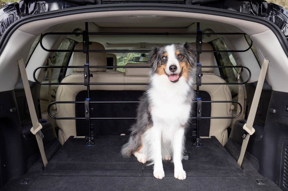 Petsafe Happy Ride - Autorek Hond - Zilver - zwart