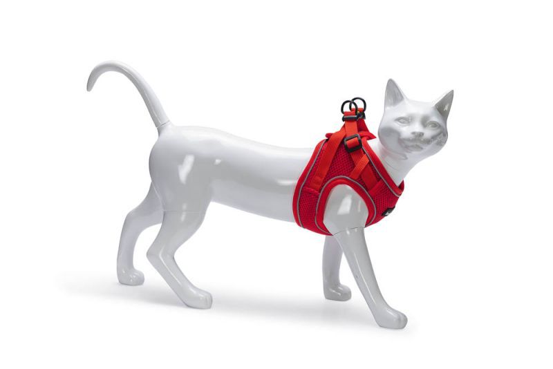 Beeztees Parinca - Kattentuigje - 31 cm - Rood - S-M