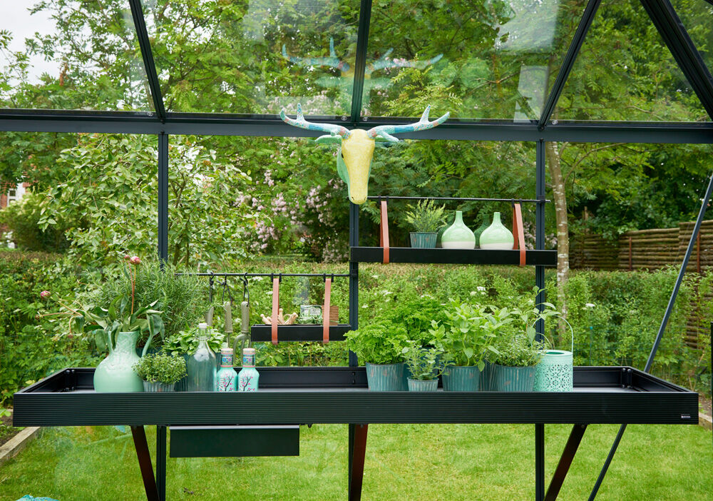 JULIANA Hanging Tray - Kweekschap - 6.00 cm - Zwart - 14.50 cm - 36.00 cm