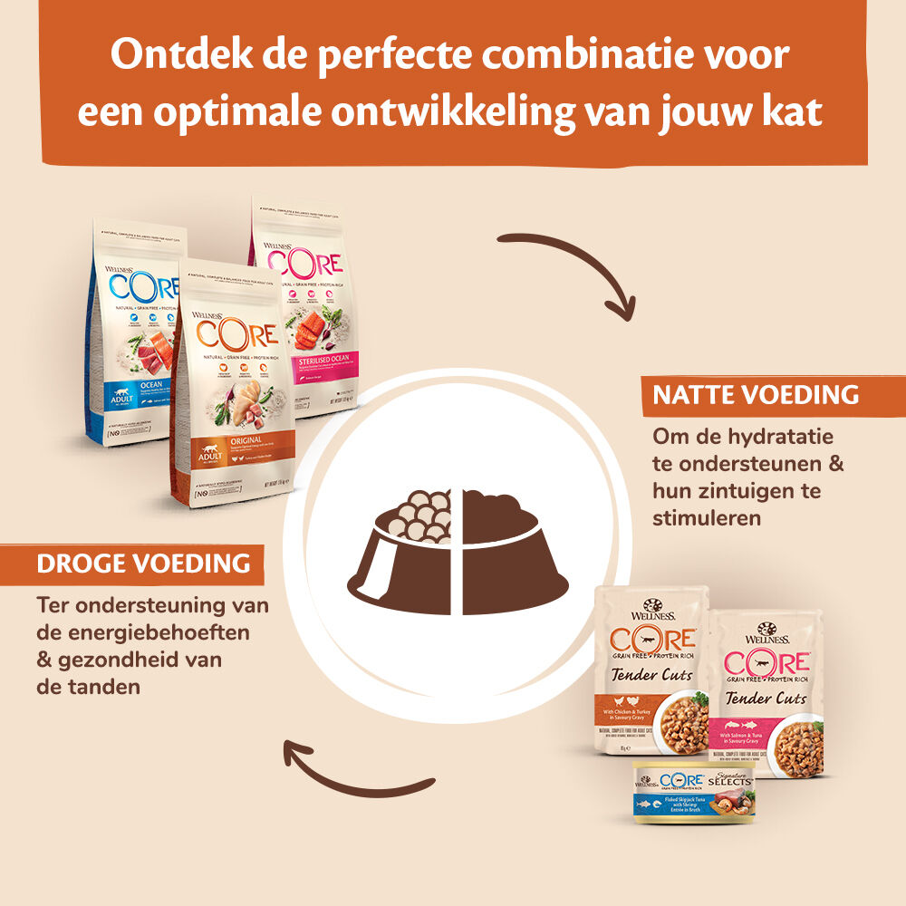 Wellness Core Tender Cuts - Kattenvoer - 6x85 gram - Kip - Zalm - 510 gram