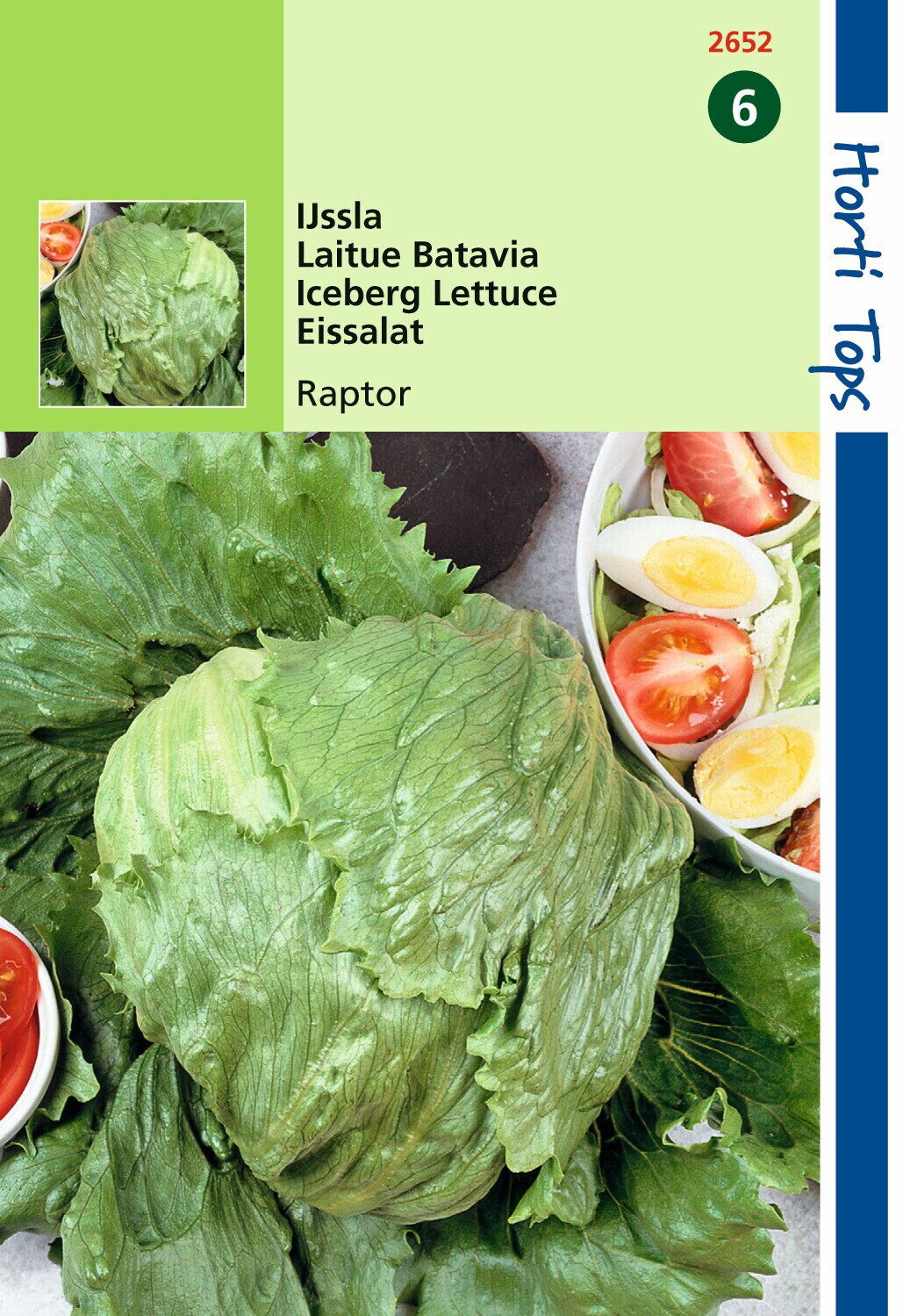 Hortitops Ijssla Lactuca sativa Raptor (vh Dublin) - Groentezaden Hortitops Ijssla Lactuca sativa Raptor (vh Dublin) - Groentezaden