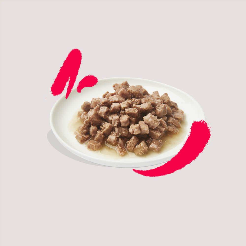 Edgard & Cooper Senior Stukjes in saus - Kattenvoer - Kip - Kalkoen - 85 gram