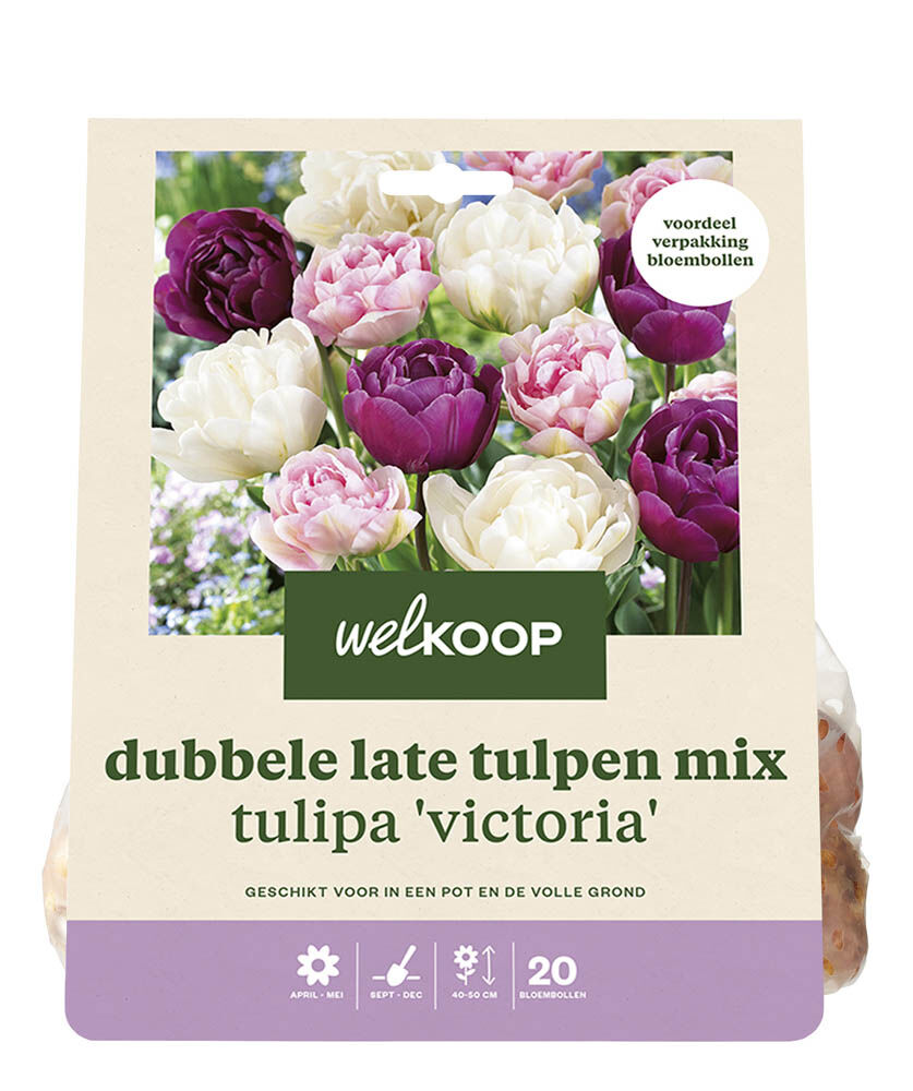 Welkoop Dubbele Tulpen mix  Rianne - Bloembollen Welkoop Dubbele Tulpen mix  Rianne - Bloembollen