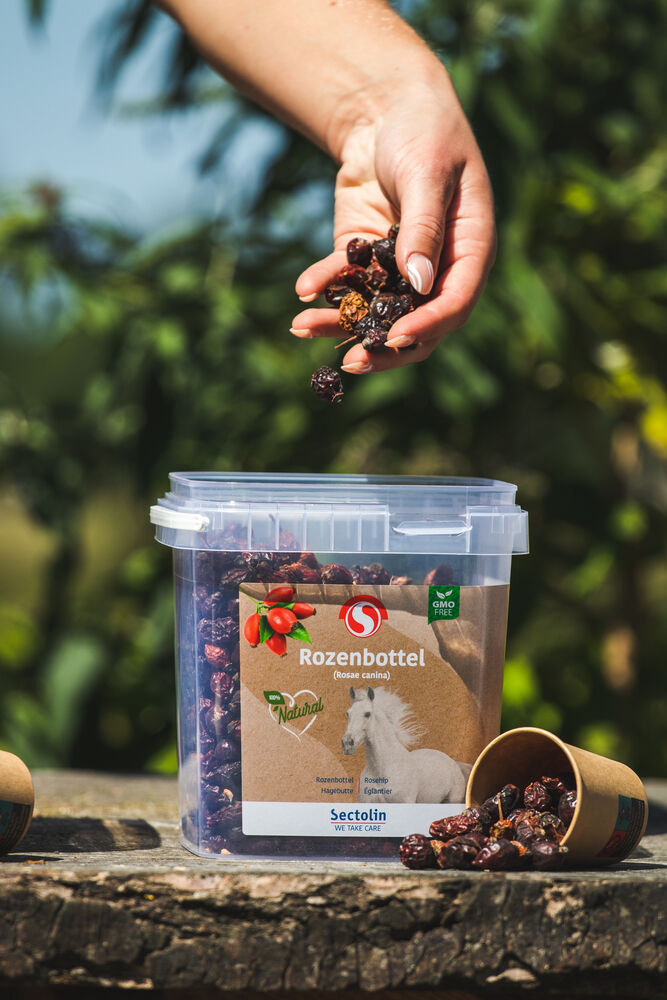 Sectolin Rozenbottel Kruid - Weerstandsupplement Paard - 1