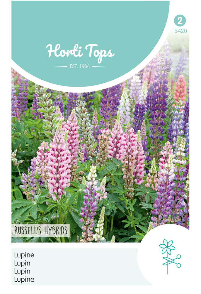 Hortitops Lupine Russells Hybrids - Bloemzaden Hortitops Lupine Russells Hybrids - Bloemzaden