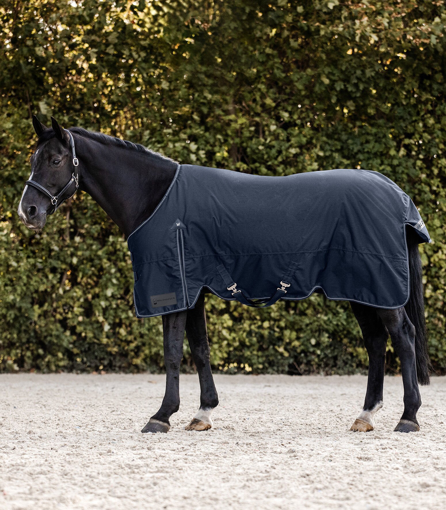 Waldhausen Arctic 300 gr - Winterdeken - Paardendeken