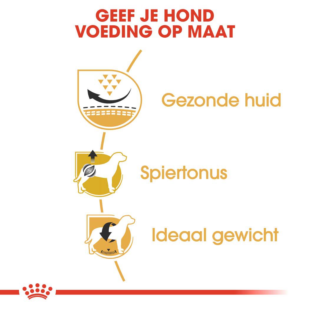 Royal Canin Mopshond Adult - Hondenvoer - 1.5 - gevogelte