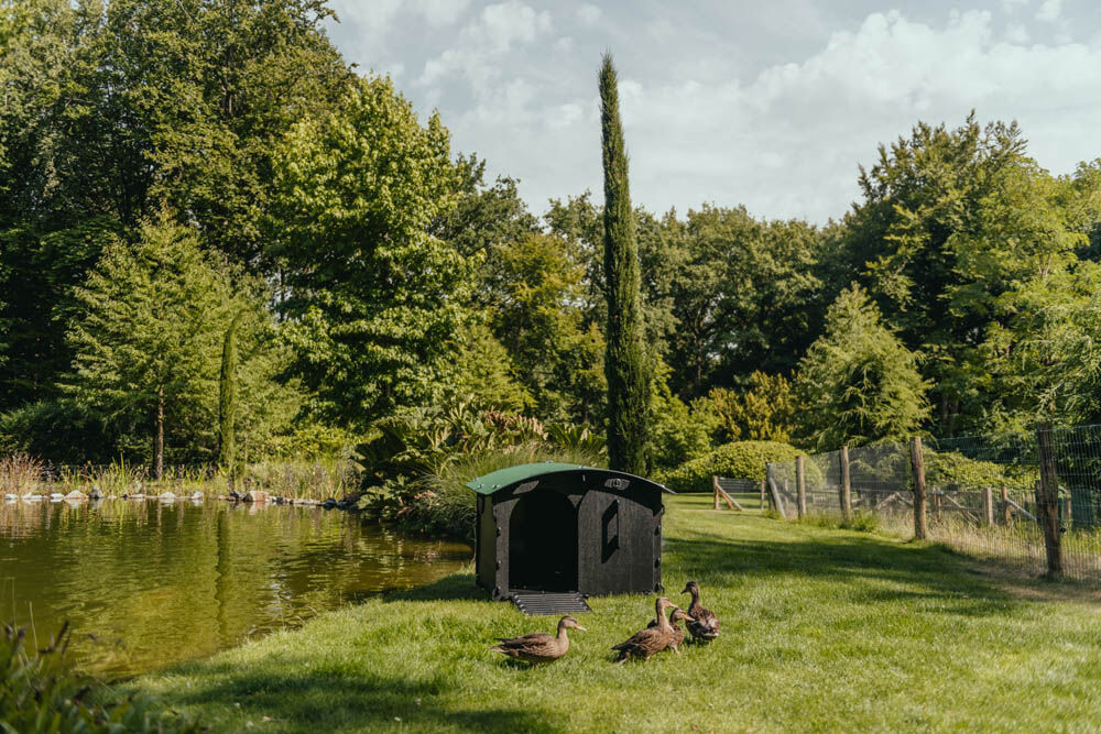 Nestera  - Eendenhok - 2 tot 4 eenden - 7878x110110x114 cm