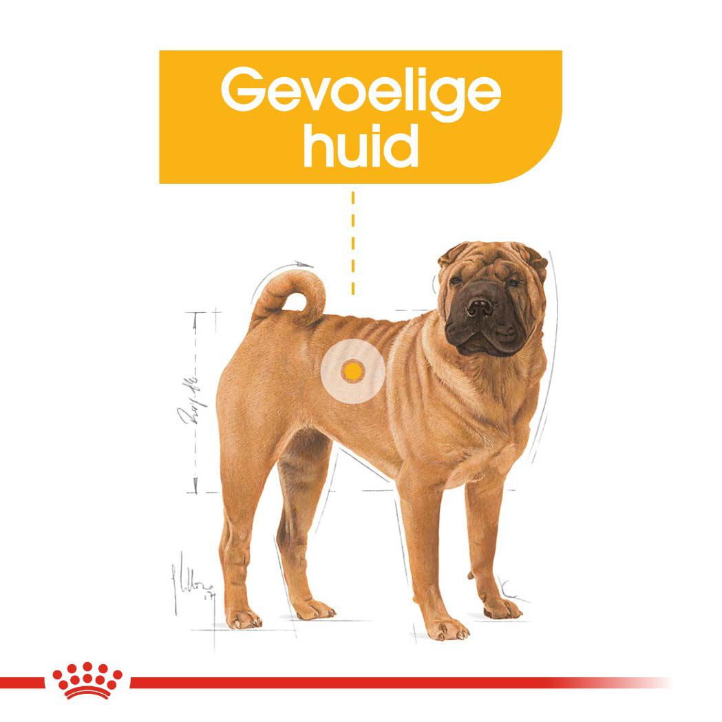 Royal Canin SHN Medium Dermacomfort - Hondenvoer - 3 - gevogelte