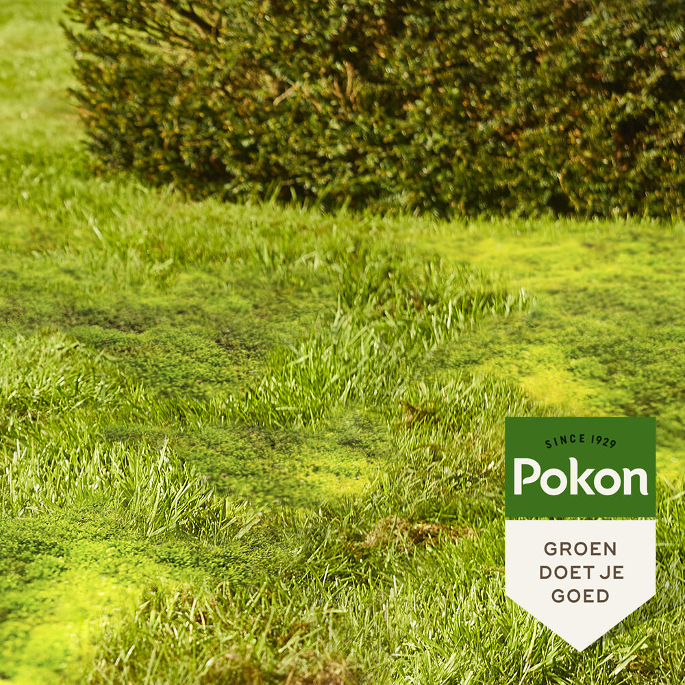 Pokon Mos Weg! - Gazonmeststof - 150 m²