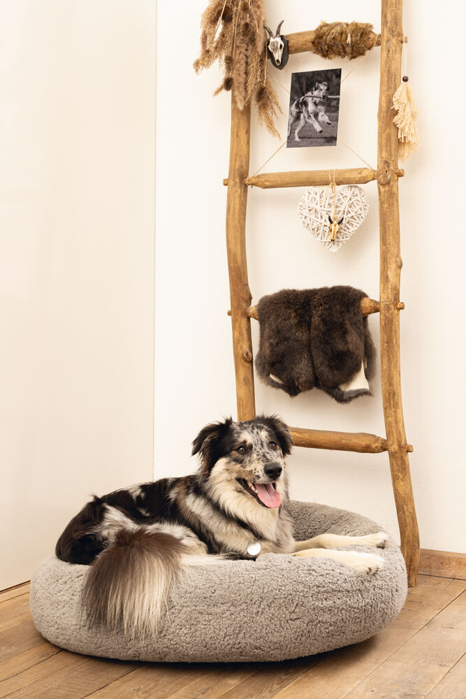 Beeztees Jaxx Orthopedisch - Hondenmand - grijs - 20x50x50 cm - S