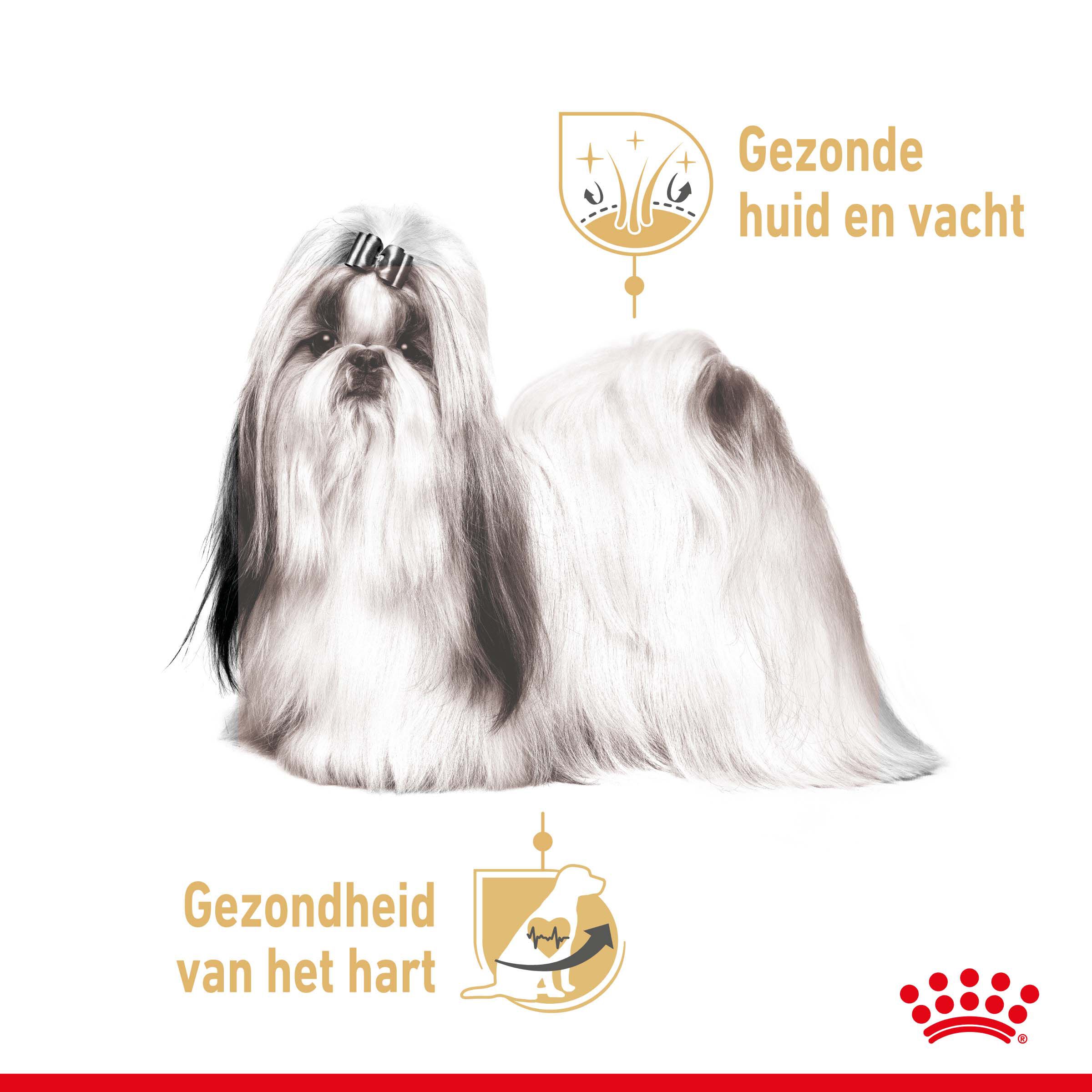 ROYAL CANIN® Adult Shih Tzu  Natvoer 12x85gr - Hondenvoer - 1020 - gevogelte
