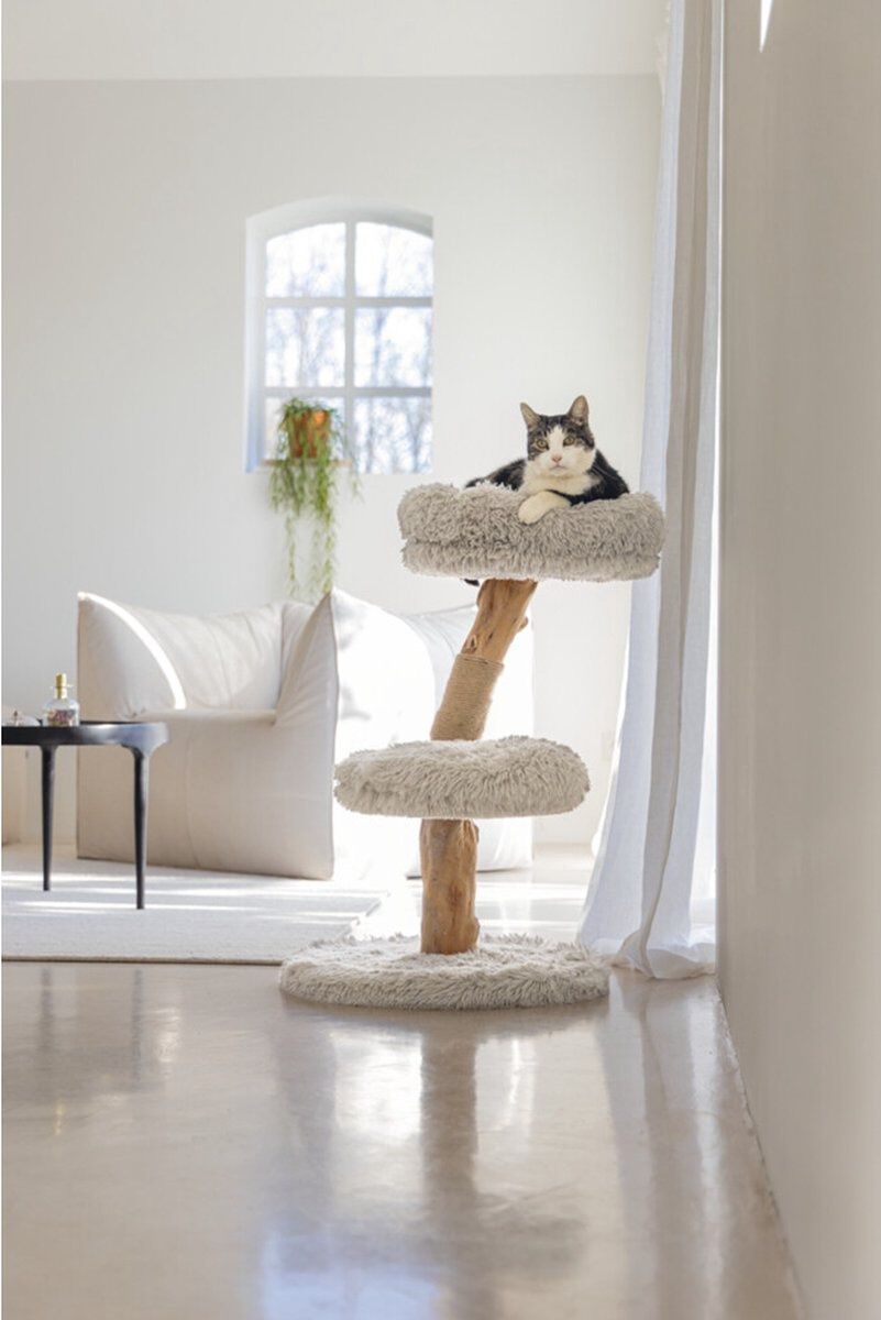 Designed by Lotte Zora - Krabpaal - Grijs - 72x50x50 cm