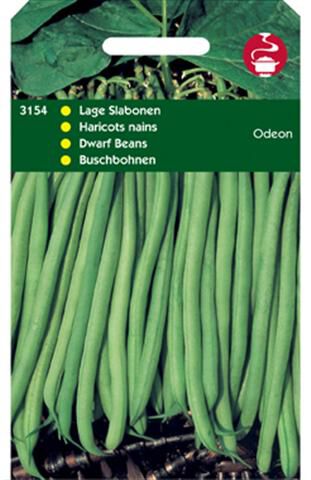 Hortitops Stamslabonen Phaseolus Vulgaris L. Odeon - Groentezaden Hortitops Stamslabonen Phaseolus Vulgaris L. Odeon - Groentezaden