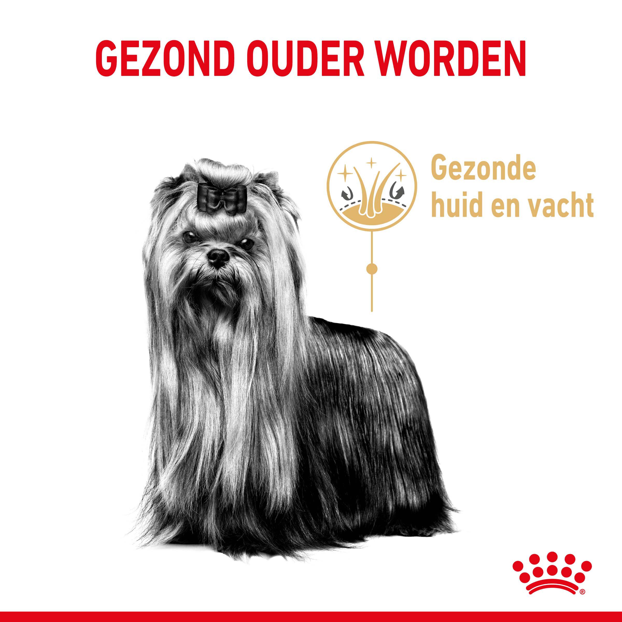 ROYAL CANIN® Adult 8+ Yorkshire Terriër  - Hondenvoer - 1.5 - gevogelte
