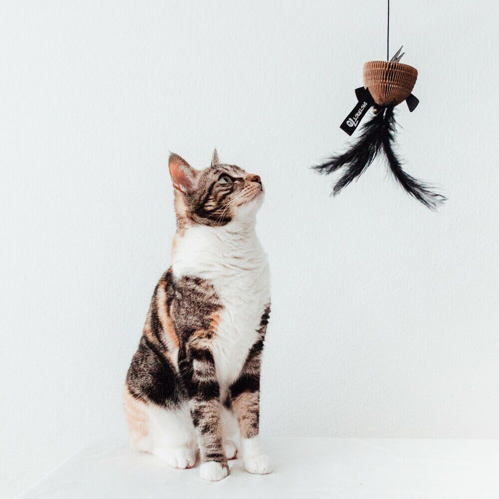 District 70 BAIT - Kattenhengel - 20.00 cm - 5.00 cm - 10.00 cm