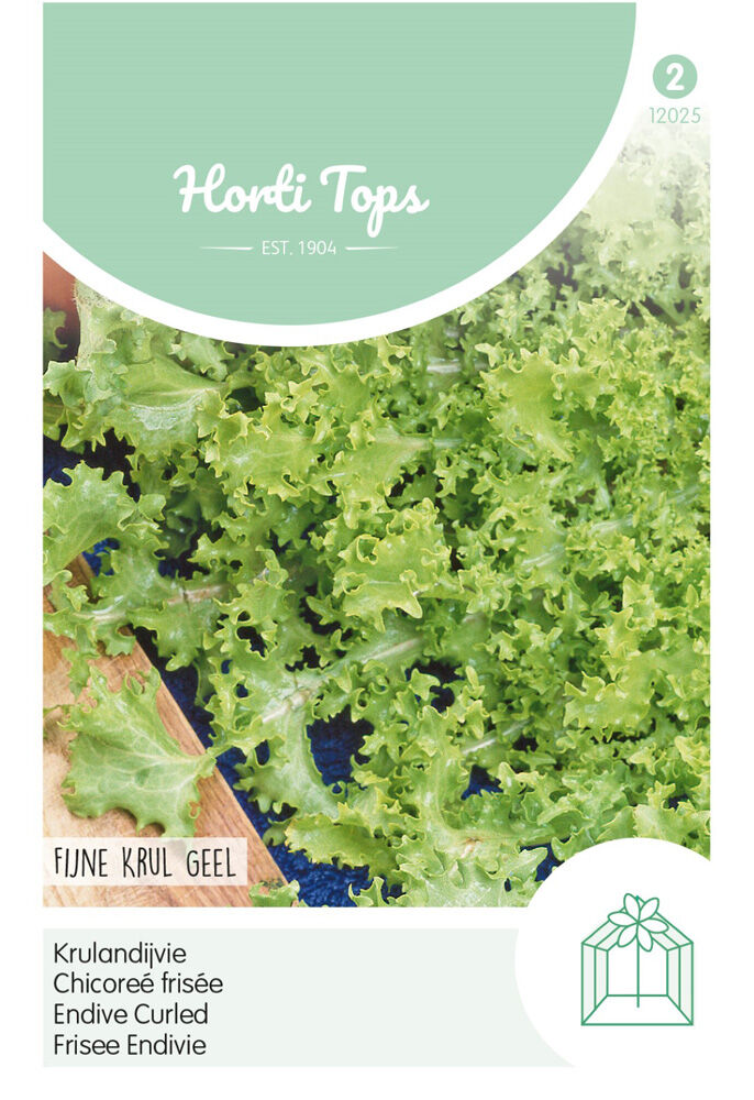 Hortitops Krulandijvie Cichorium endivia Fijne Krul Geel (Altijd Witte) - Andijvie Hortitops Krulandijvie Cichorium endivia Fijne Krul Geel (Altijd Witte) - Andijvie