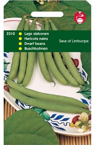 Hortitops Stamslabonen Phaseolus Vulgaris L. Saxa of Limburgse - Groentezaden Hortitops Stamslabonen Phaseolus Vulgaris L. Saxa of Limburgse - Groentezaden