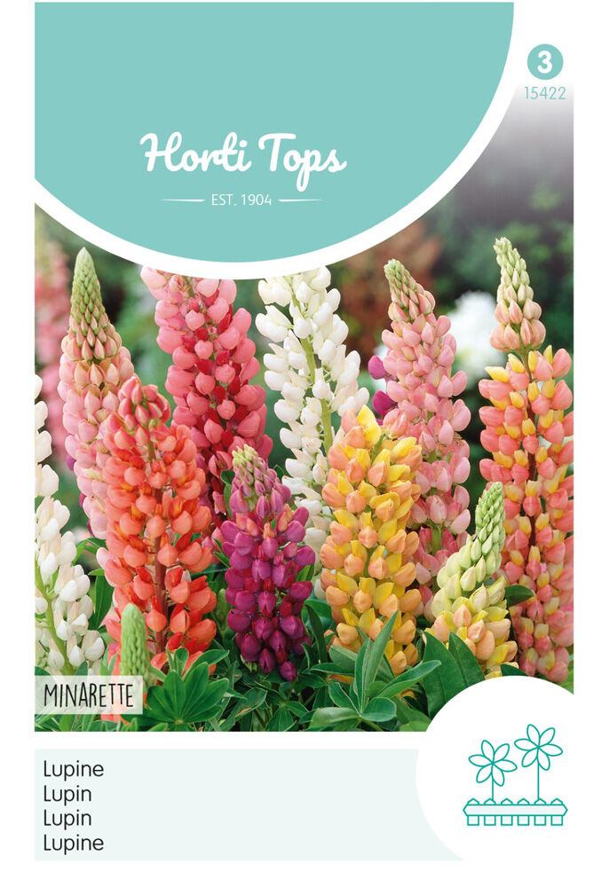 Hortitops Lupine Lage Minarette -Bloemzaden Hortitops Lupine Lage Minarette -Bloemzaden