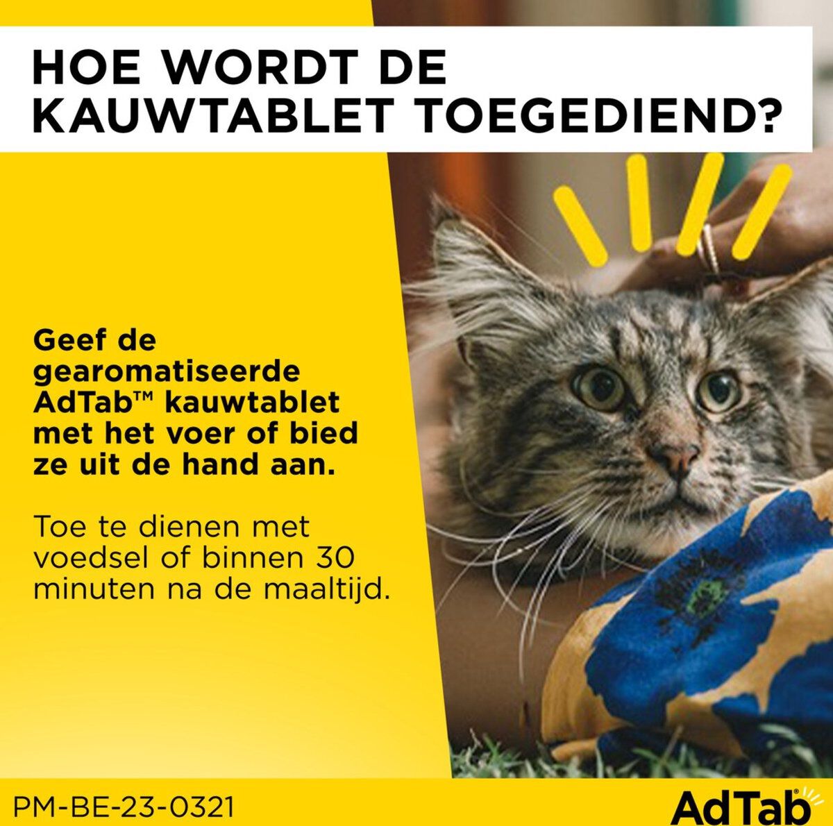 AdTab kauwtabletten kat 0.5-2 kg - Anti vlooien- en tekenmiddel - Klein