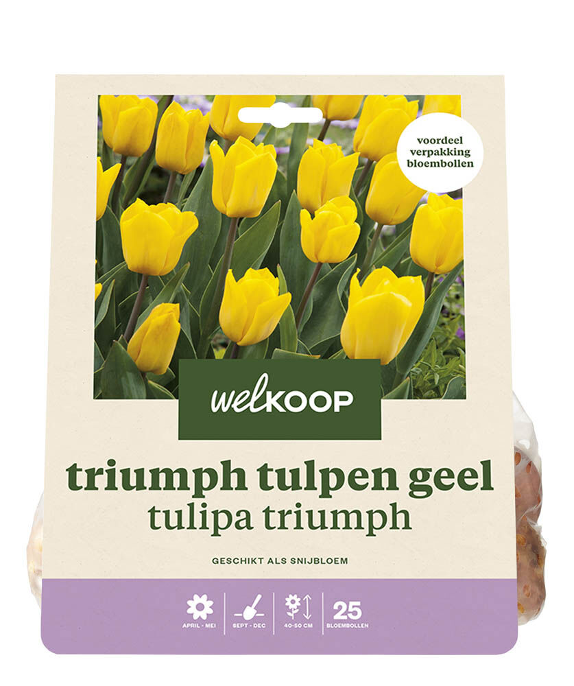 Welkoop Tulp Lune - Bloembollen Welkoop Tulp Lune - Bloembollen