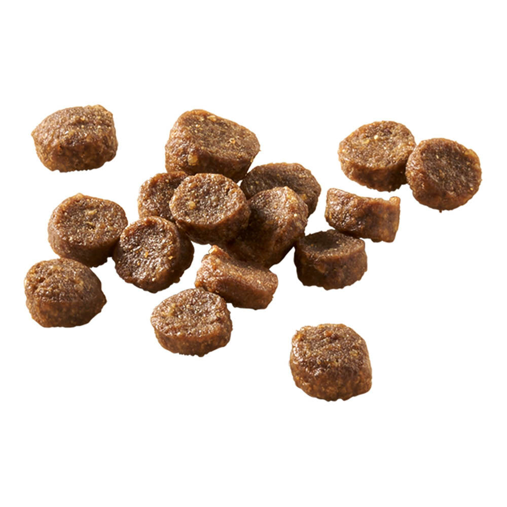 Welkoop Adult Sensitive - Kattenvoer - 4 - kip