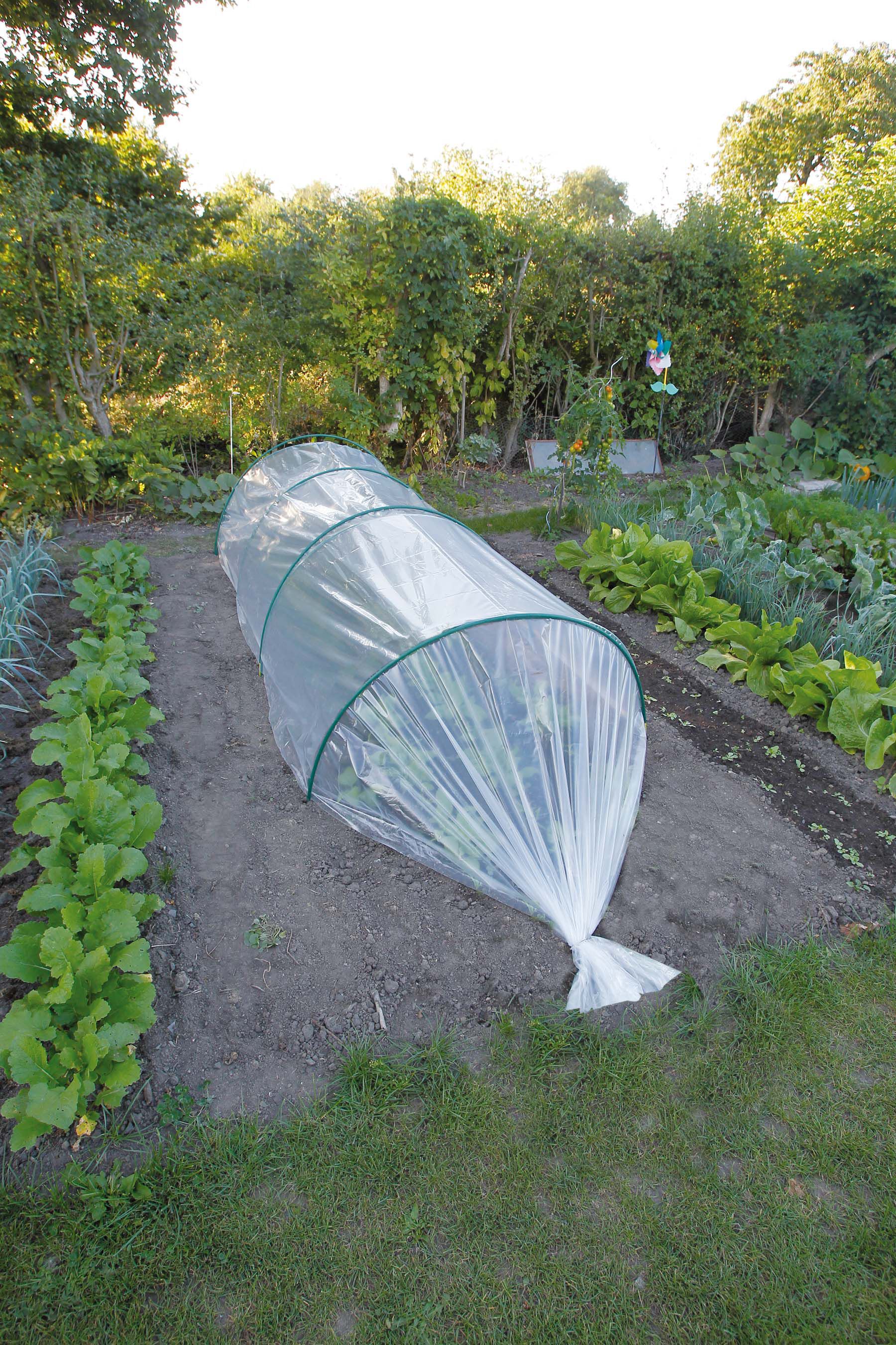 Nature Groeifolie Transparant - Plantbescherming Nature Groeifolie Transparant - Plantbescherming