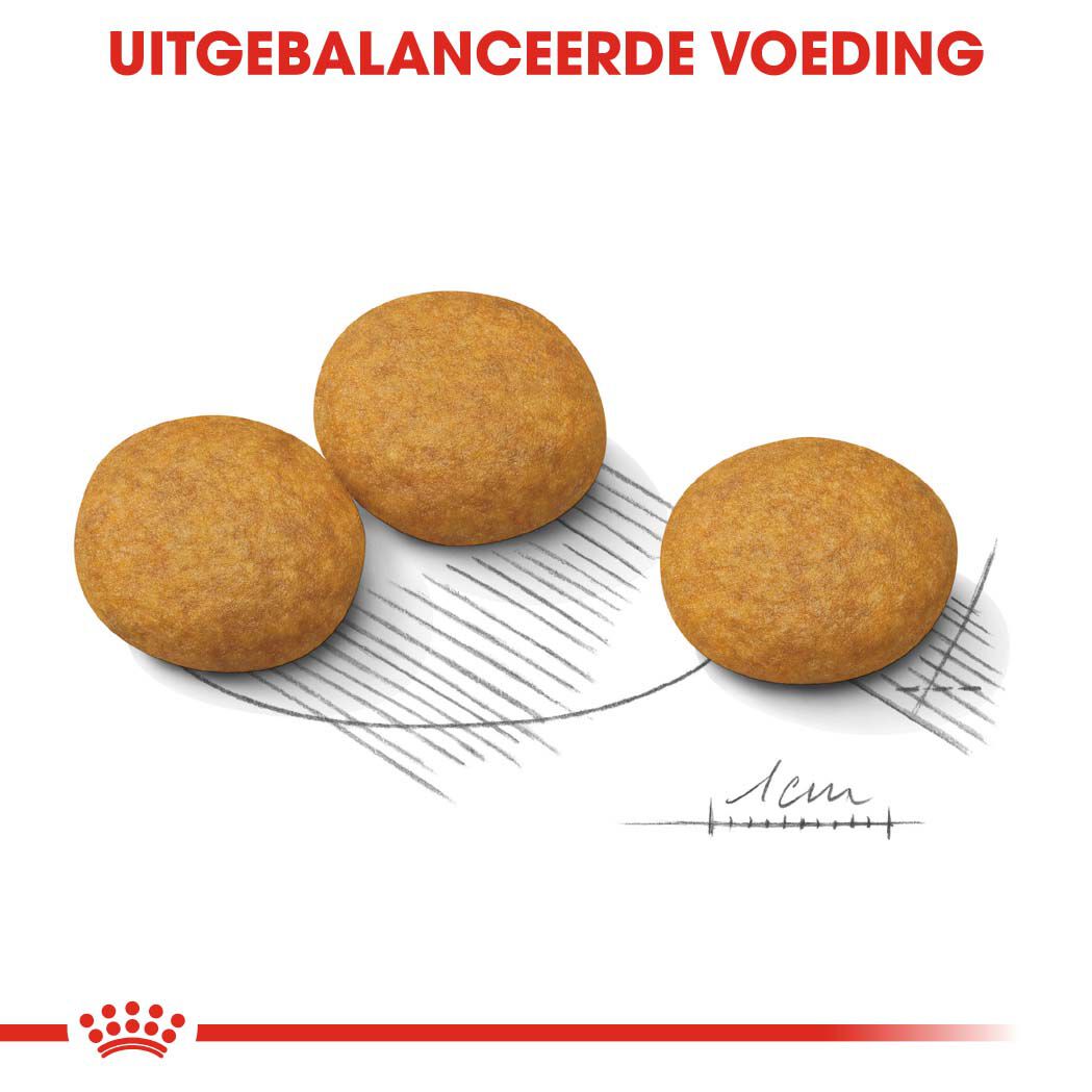 Royal Canin SHN Medium Dermacomfort - Hondenvoer - 3 - gevogelte