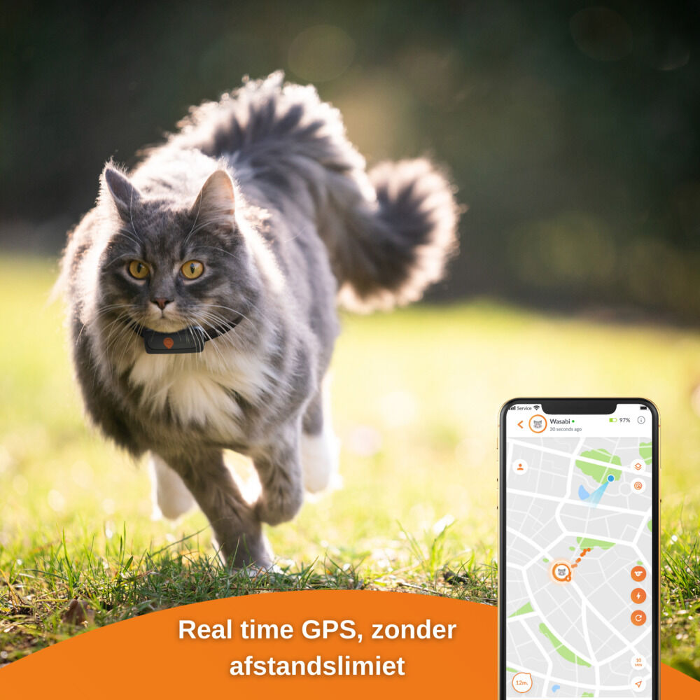 Weenect XS - GPS Tracker Kat - 1.00 cm - Zwart/Oranje - 6.00 cm - 1.00 cm