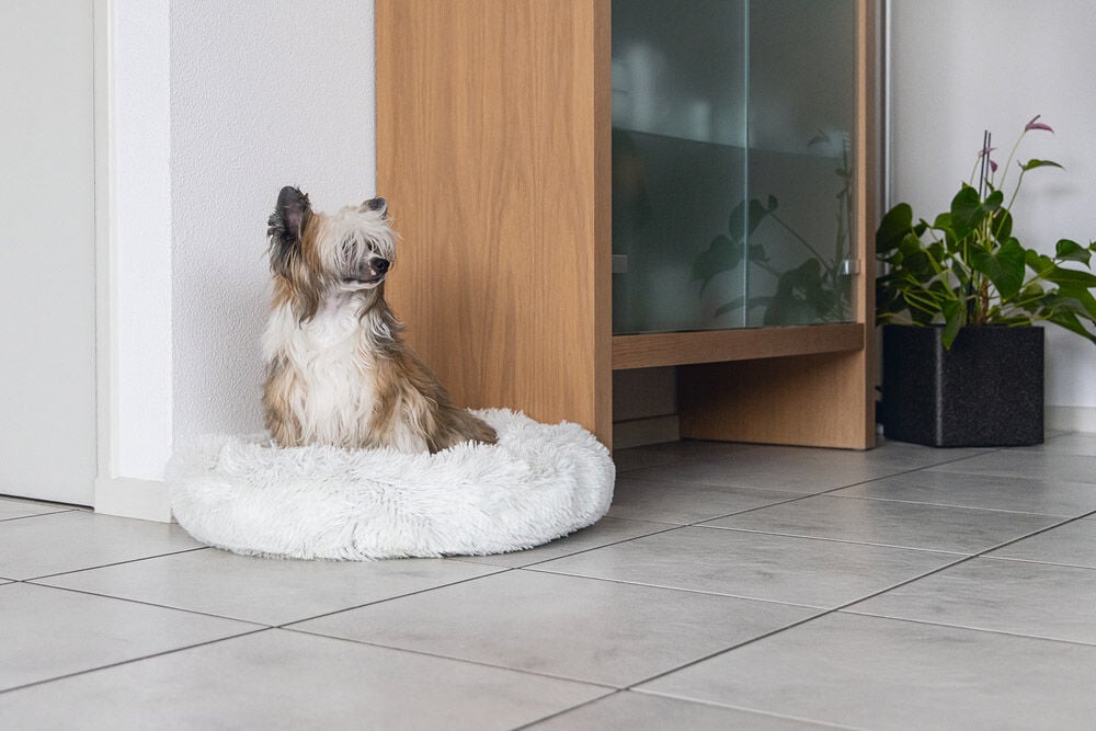 Karlie Agnes - Hondenmand - Wit - 20x58.5x58.5 cm - Middel