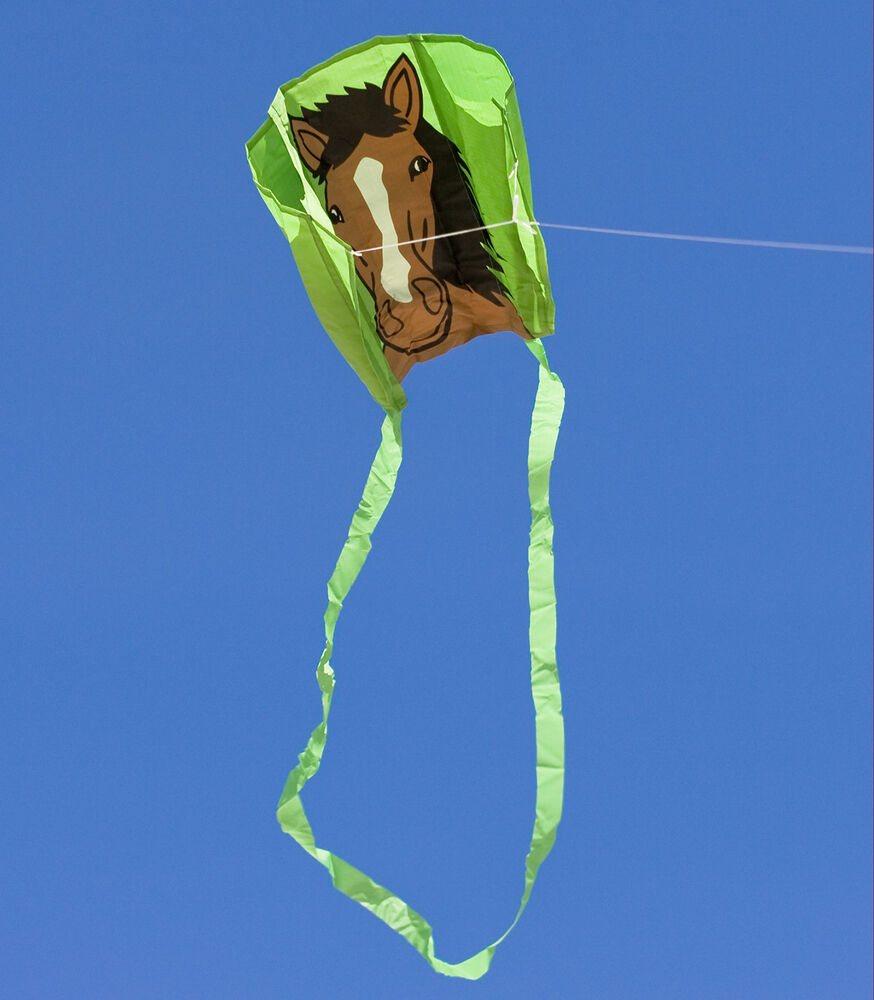 Beeztees Premium Parinca - Hondenriem - grijs - 25 mm - 120 cm Beeztees Premium Parinca - Hondenriem - grijs - 25 mm - 120 cm