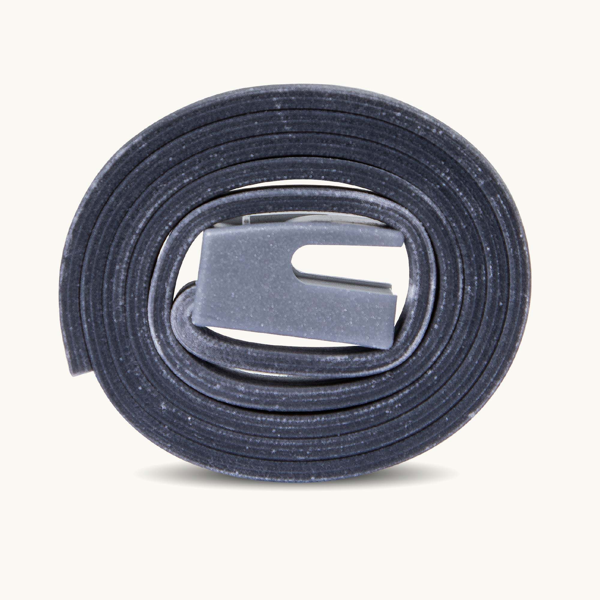 Beaphar Canishield - Anti Vlooien en Tekenband Hond - klein/middel - M