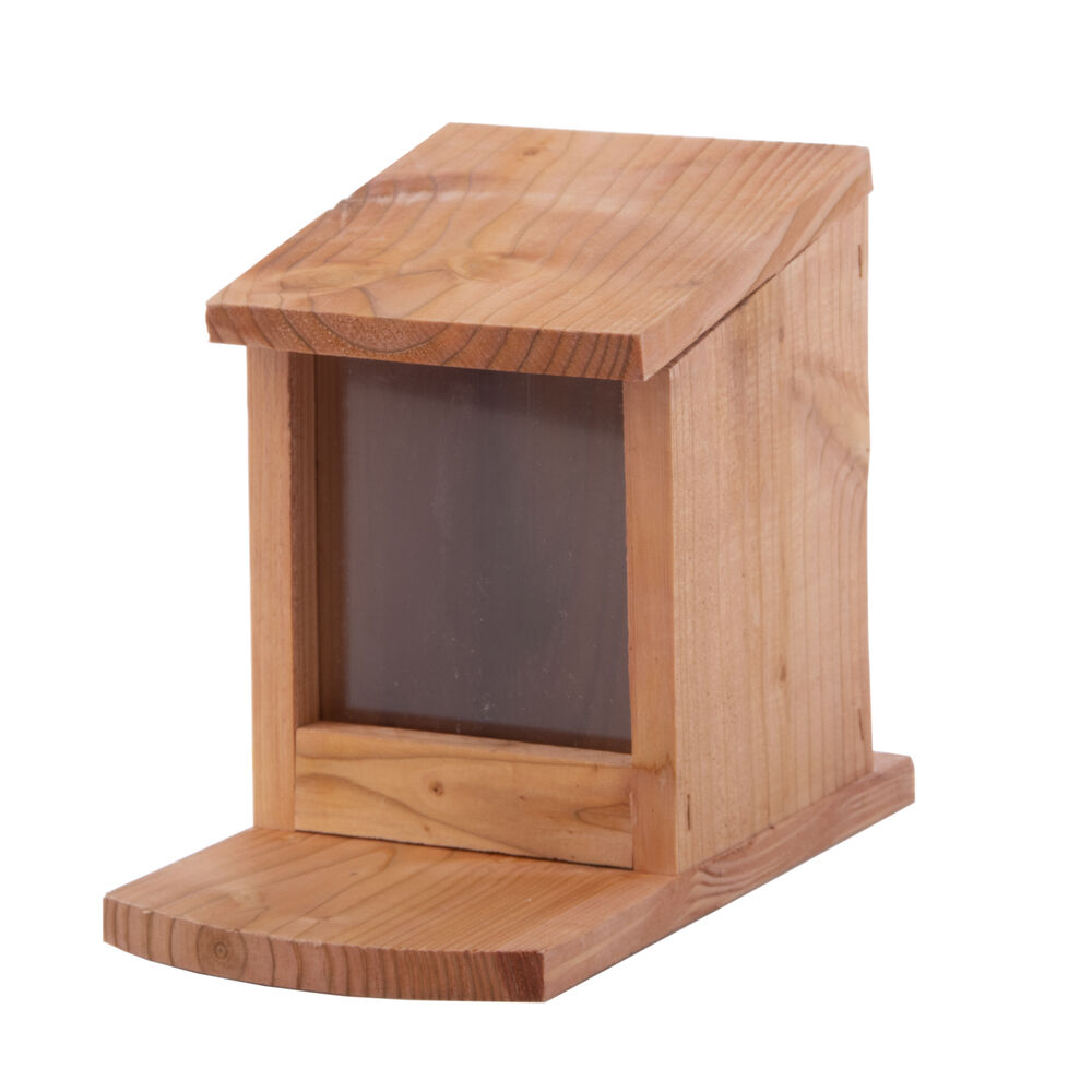Welkoop Voederhuis Eekhoorn Welkoop Voederhuis Eekhoorn