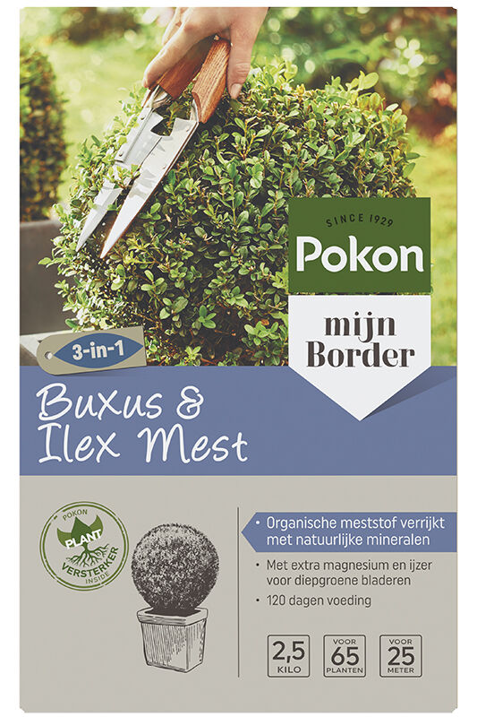Pokon Buxus voeding - Siertuinmeststof - 2,5 kg
