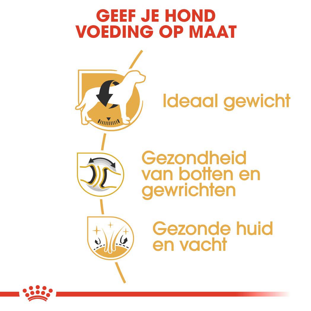 Royal Canin Labrador Retriever Adult -  Hondenvoer - 12 - gevogelte