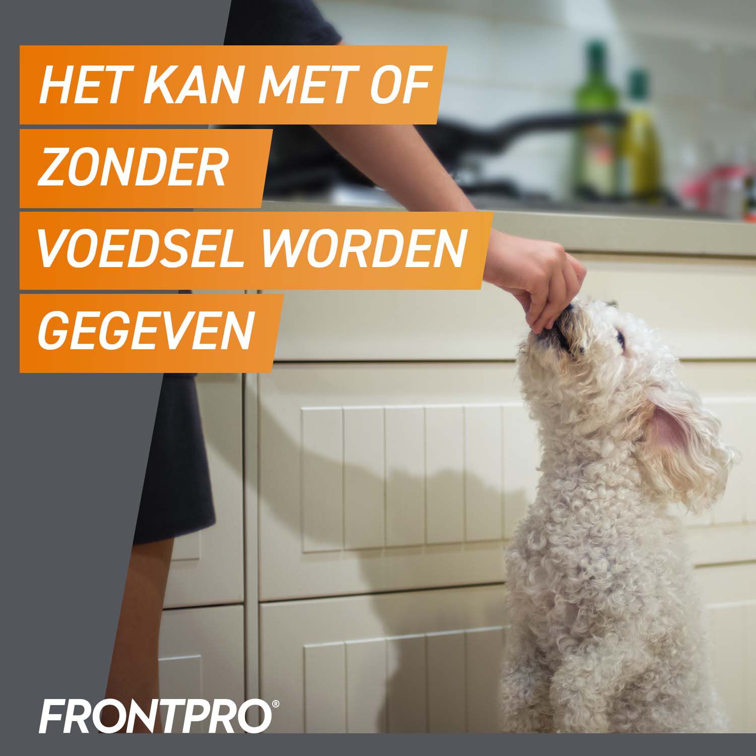 Frontpro Kauwtablet - Anti Vlooien en teken Hond - S - S
