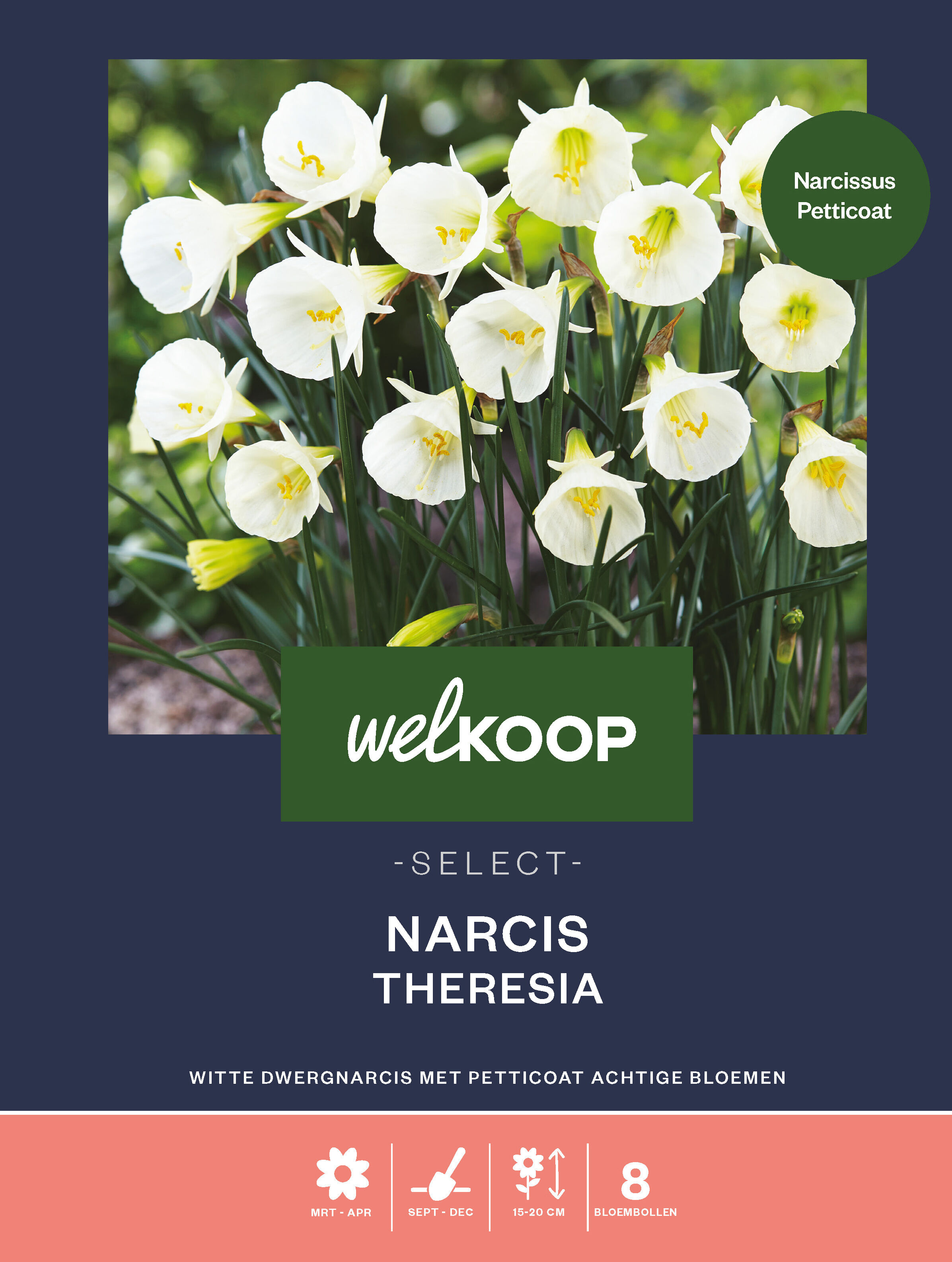 Welkoop Select Narcis Theresia - Bloembollen Welkoop Select Narcis Theresia - Bloembollen