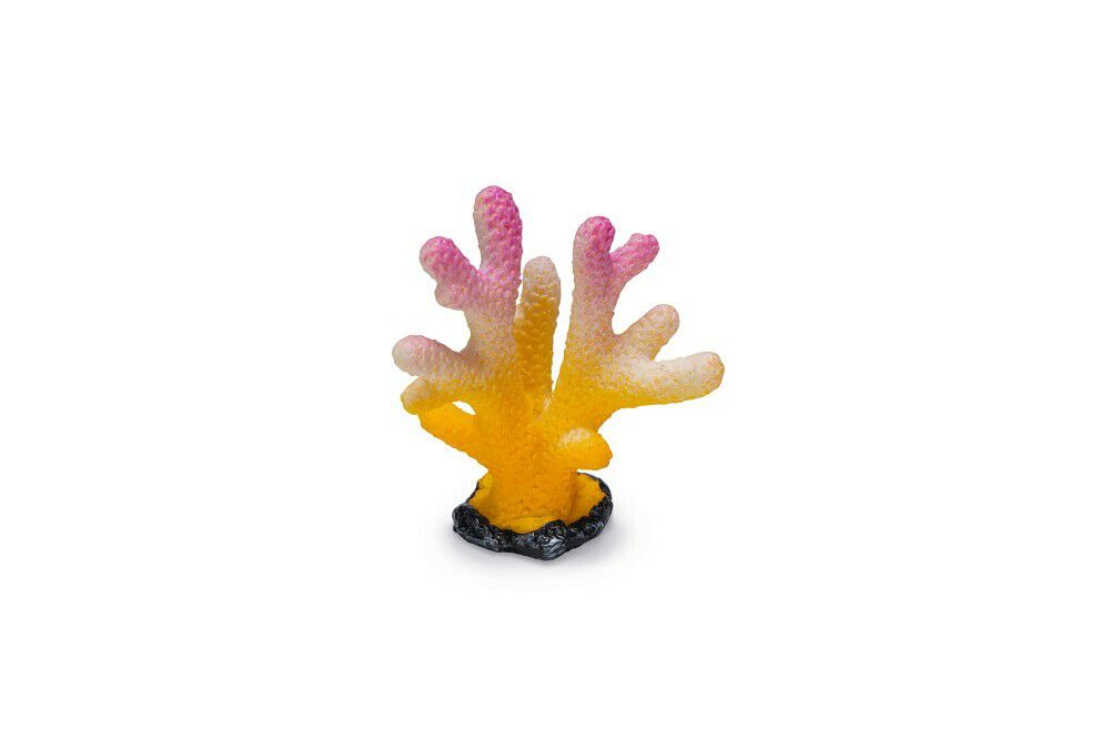 Beeztees Koraal - Aquarium Ornament