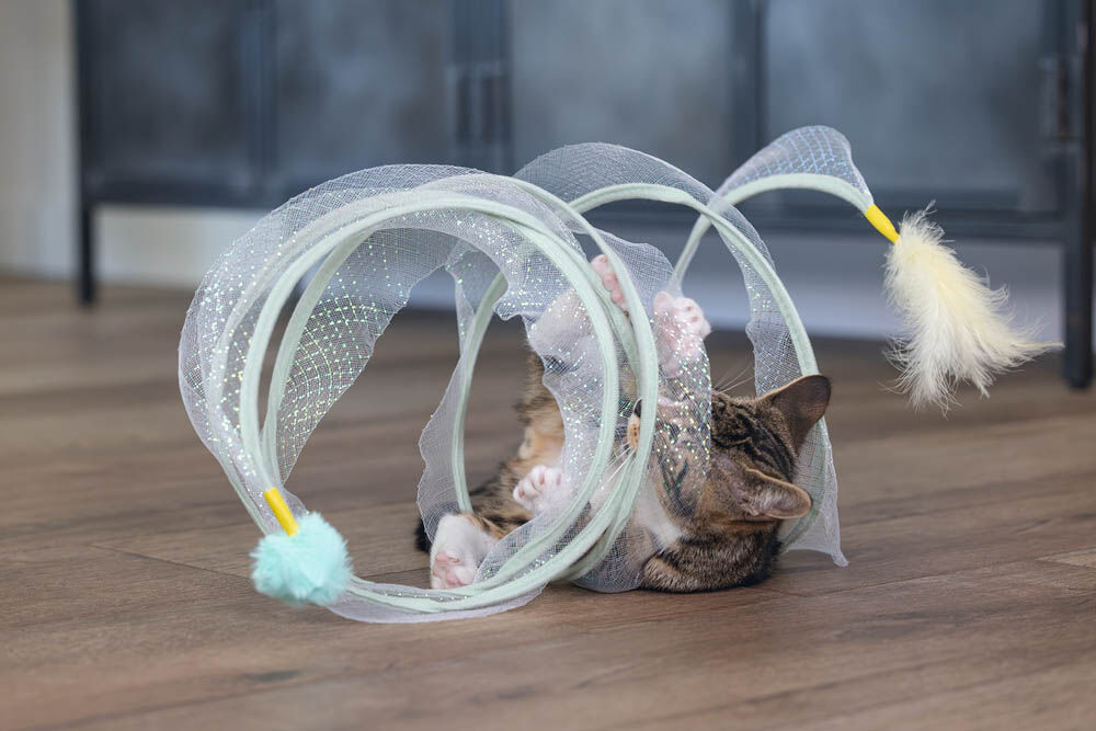 Beeztees Gabi - Katten Speelspiraal - 25.00 cm - 25.00 cm - 1.00 cm
