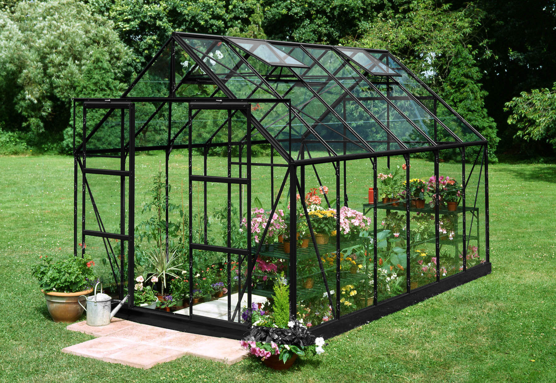 Halls Magnum 128 - Tuinkas - 258.00 cm - Zwart - Veiligheidsglas - 257.00 cm - 384.00 cm