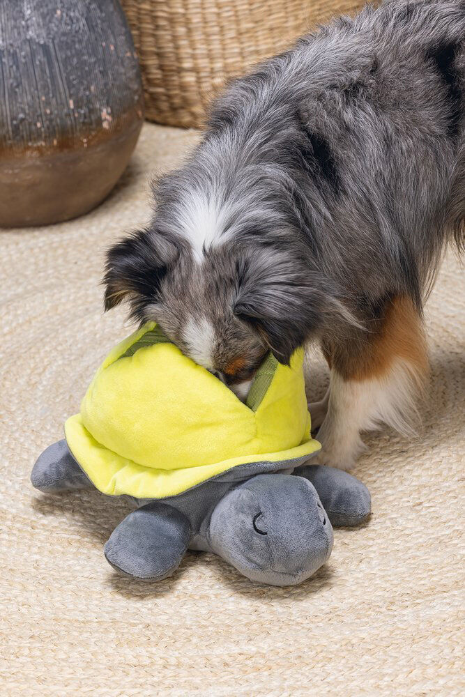 Beeztees Hide and Seek Schildo - Snuffelmat - Hondenspeelgoed - 15x24x30 cm