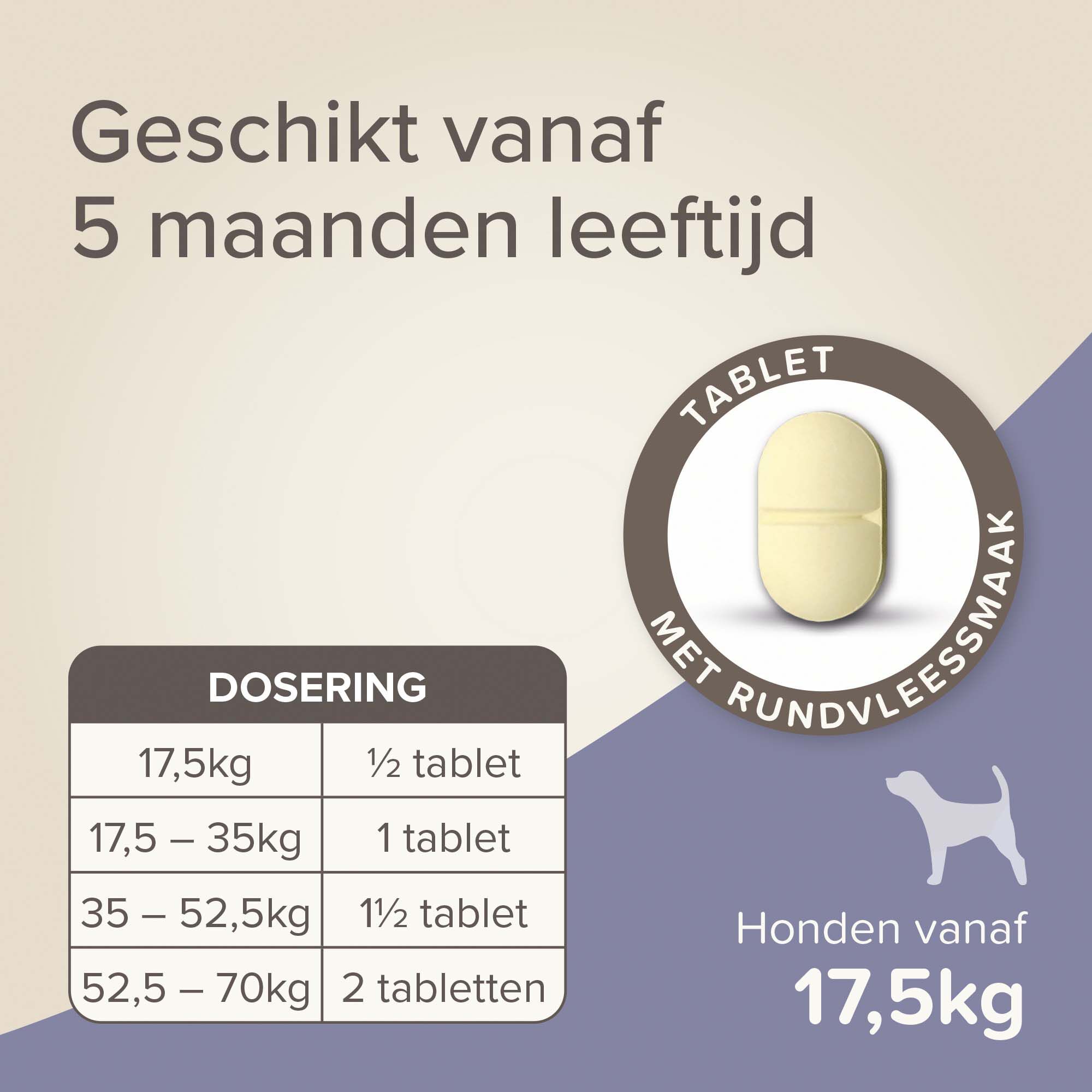 Beaphar All-in-one Tabletten - Ontwormen Hond - M/L