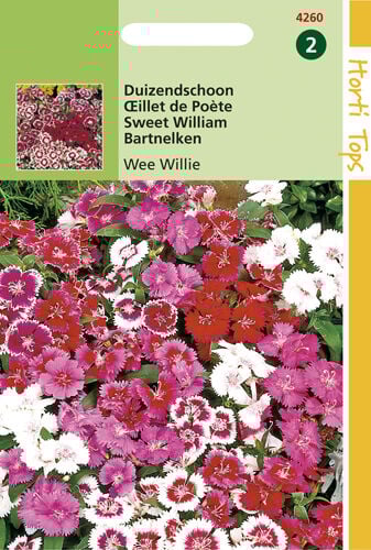 Hortitops Duizendschoon Wee Willy - Bloemzaden Hortitops Duizendschoon Wee Willy - Bloemzaden