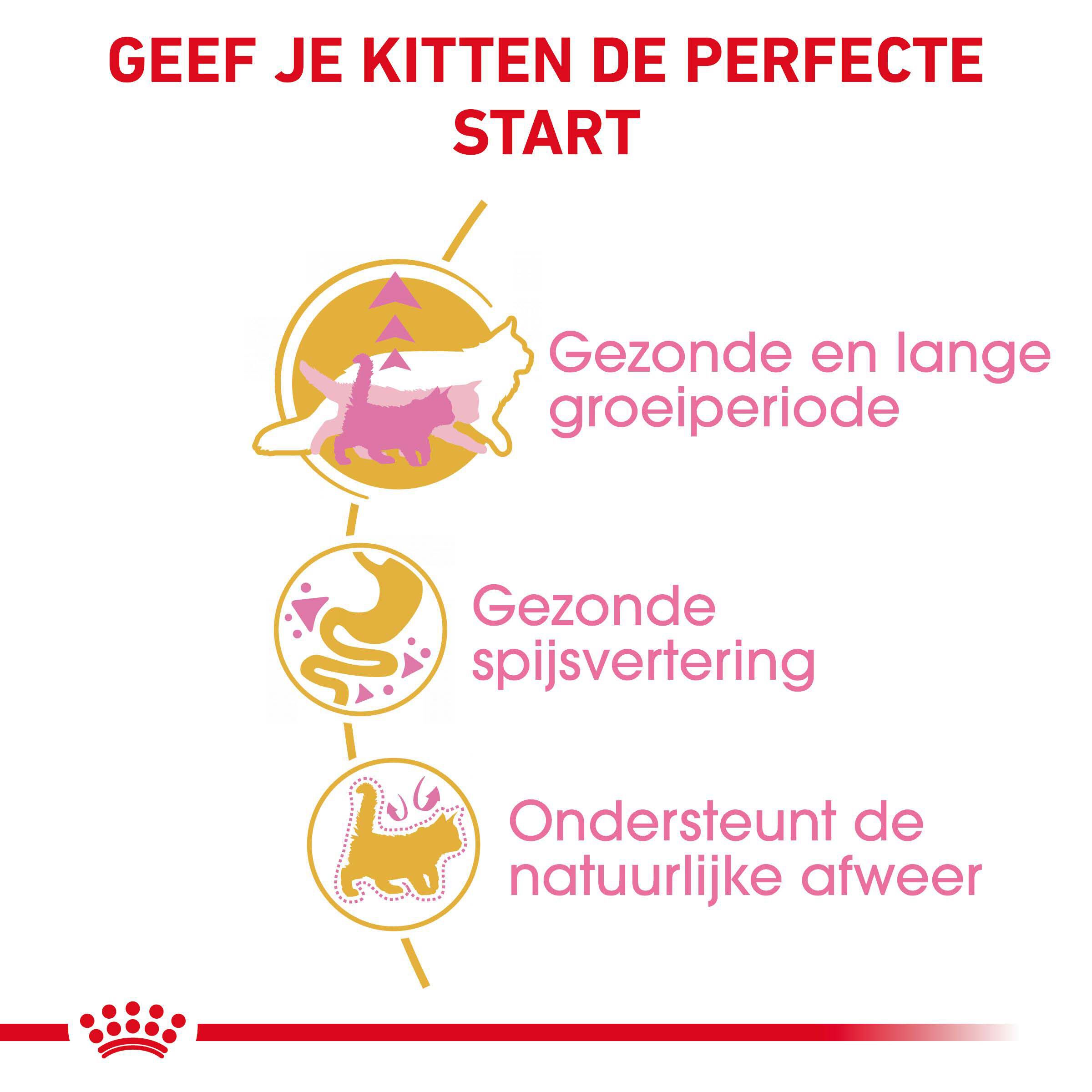 Royal Canin Maine Coon Kitten - Kattenvoer - 10 - Gevogelte