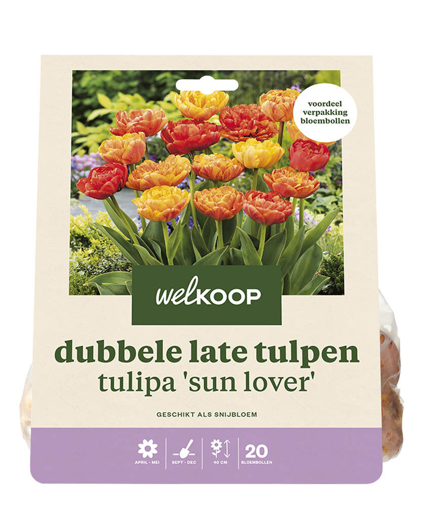 Welkoop Dubbele Tulp Lucy - Bloembollen Welkoop Dubbele Tulp Lucy - Bloembollen