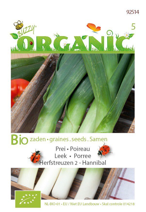 Buzzy Prei Allium Porrum L. Herfstreuzen Hannibal - Prei Buzzy Prei Allium Porrum L. Herfstreuzen Hannibal - Prei